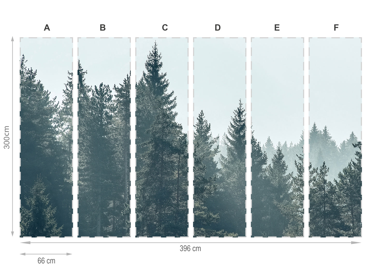 Forêt- mural de papier peint