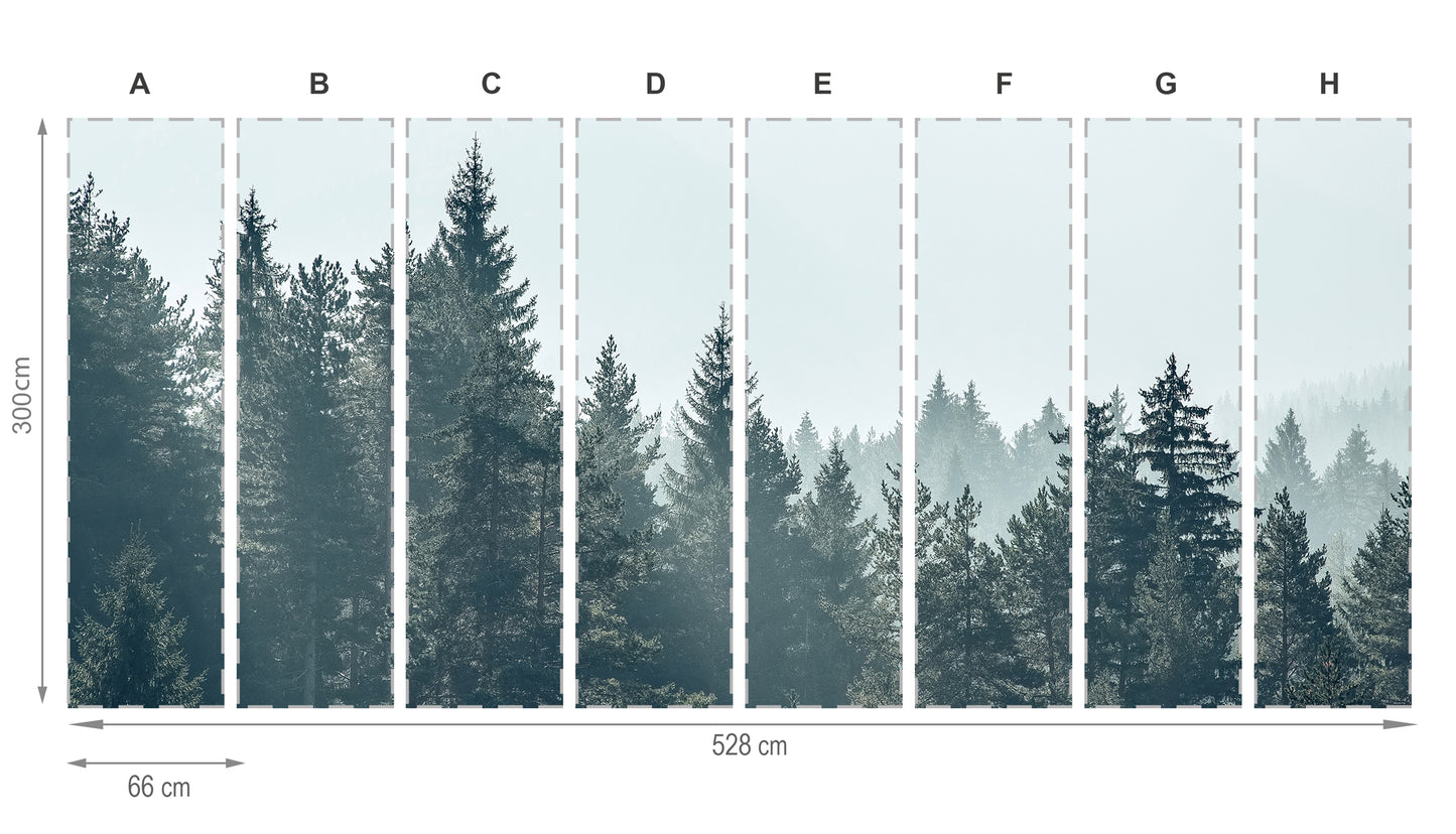 Forêt- mural de papier peint