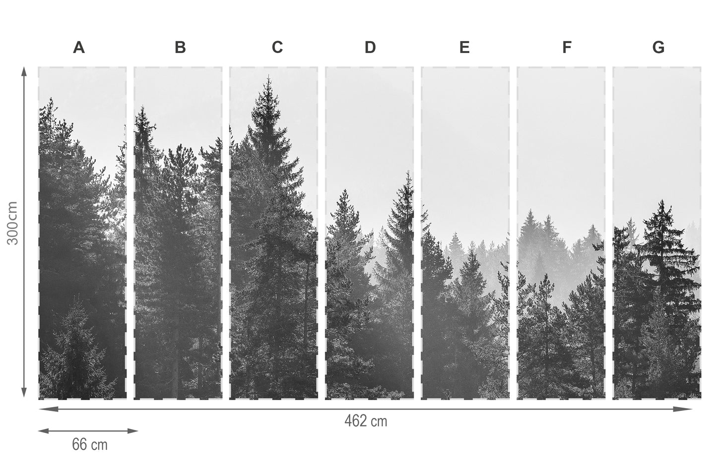 Forêt gris- mural de papier peint