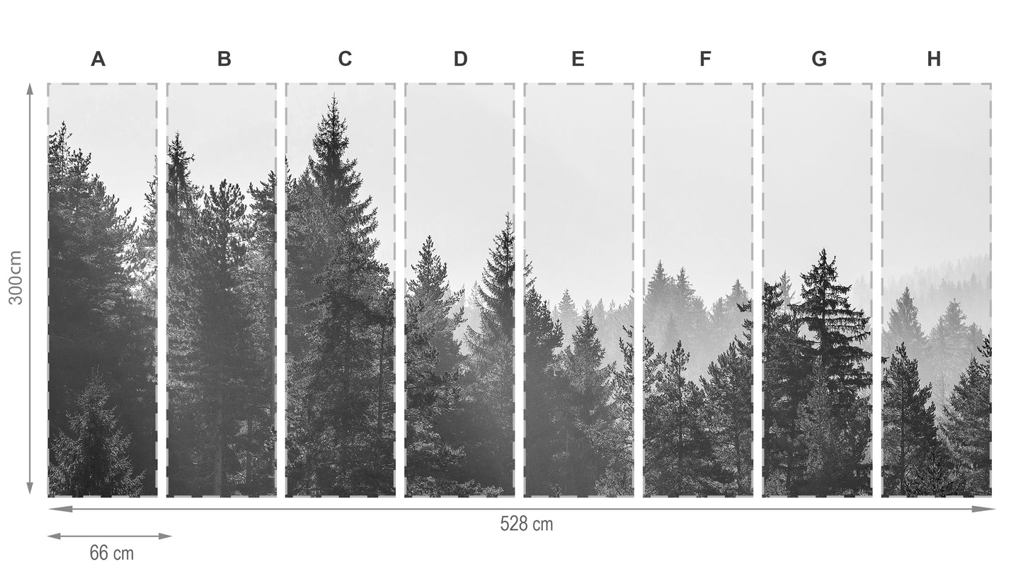 Forêt gris- mural de papier peint