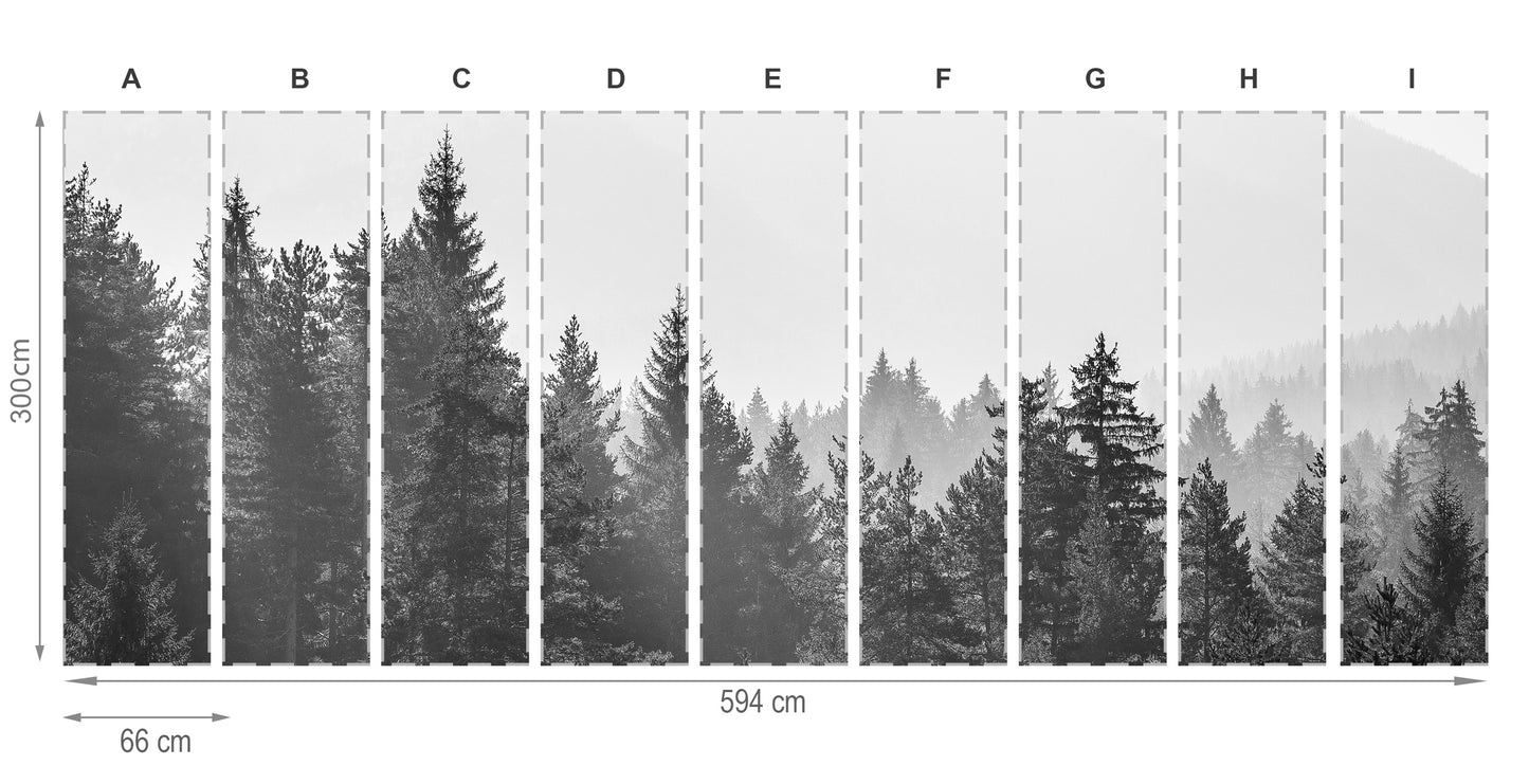 Forêt gris- mural de papier peint