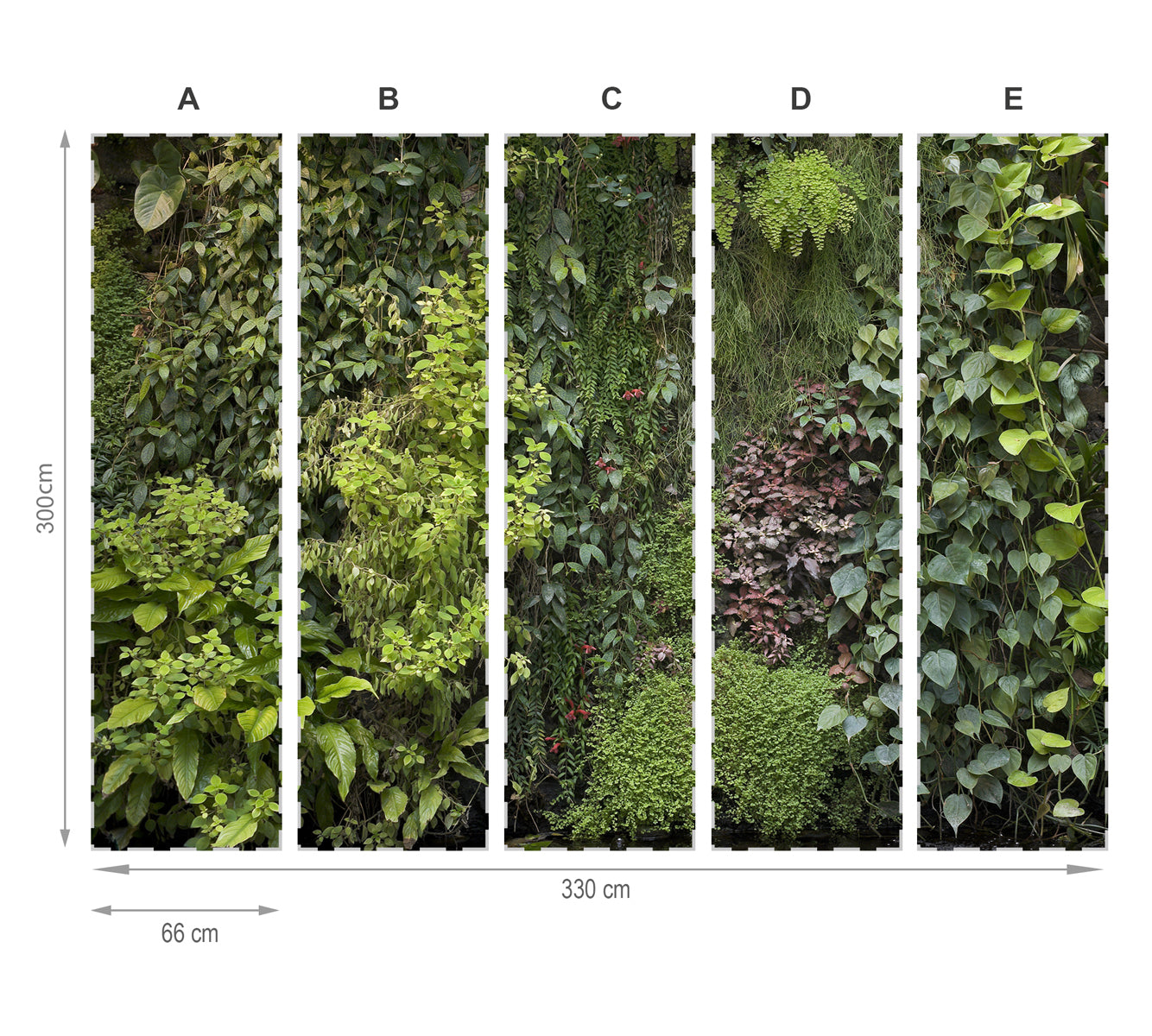 Jardin vertical- mural de papier peint