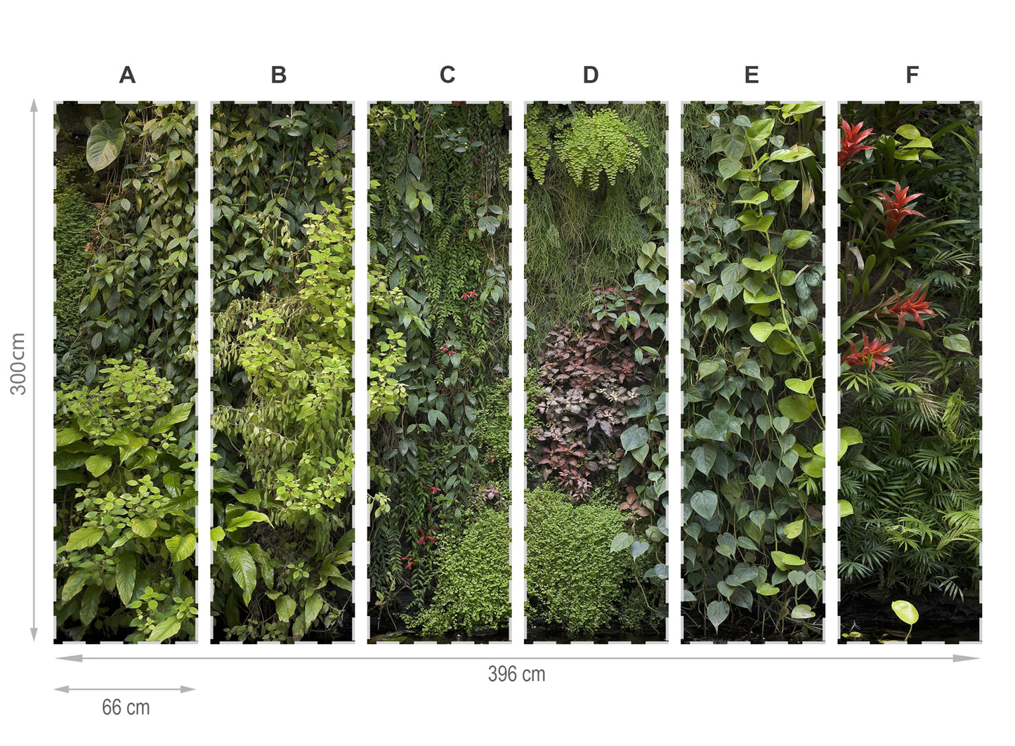 Jardin vertical- mural de papier peint