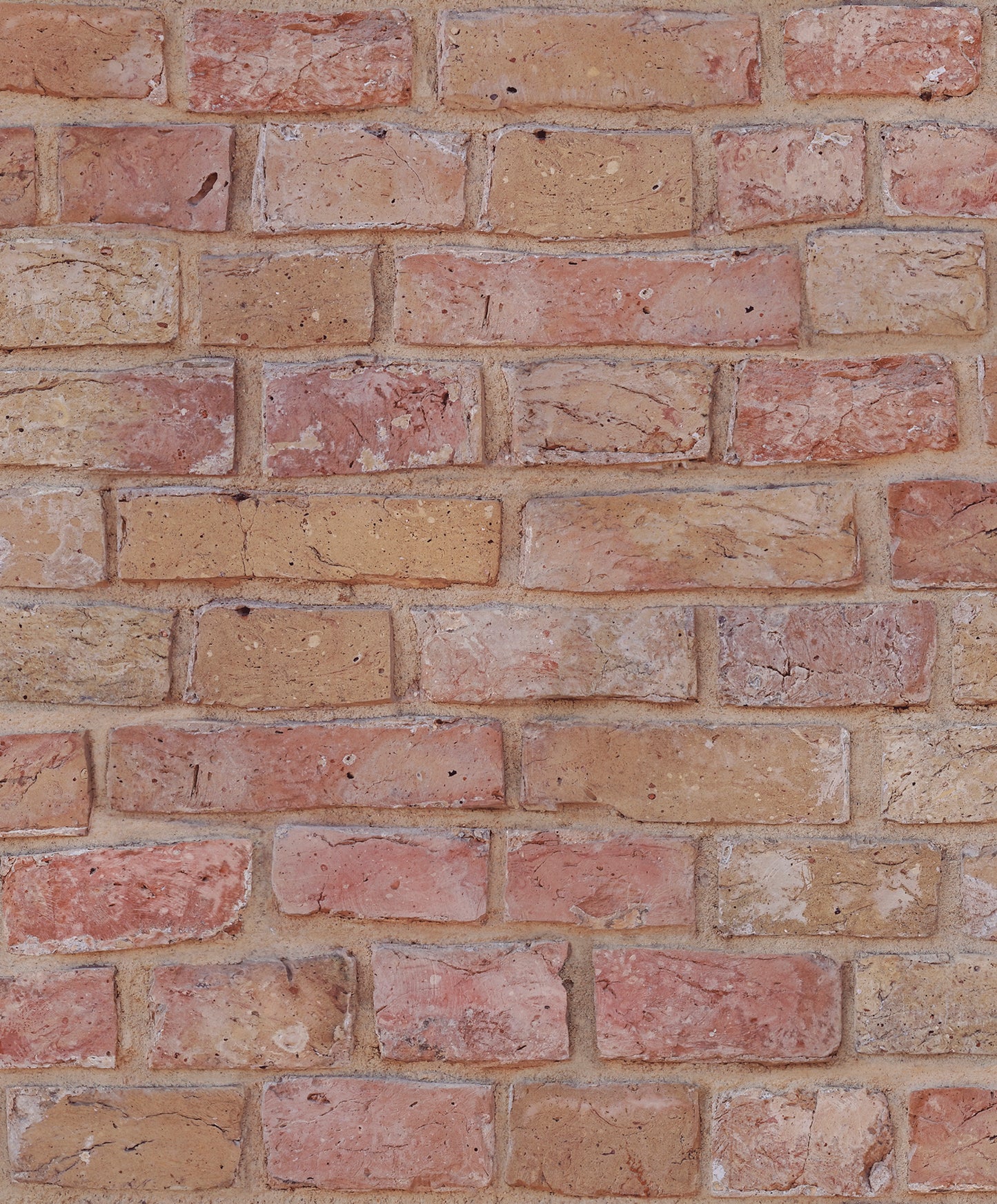 Brickwall terracota