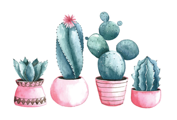 Sticker Set de 4 cactus rosa