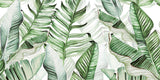 Exotic green leaves