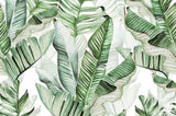 Exotic green leaves