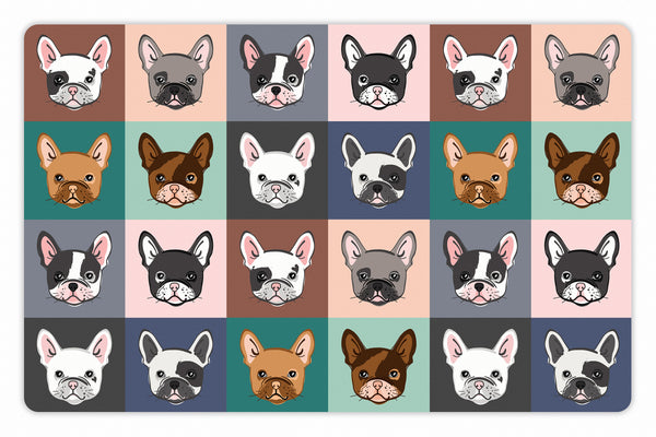 French bulldog faces