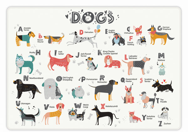 ABC Dogs