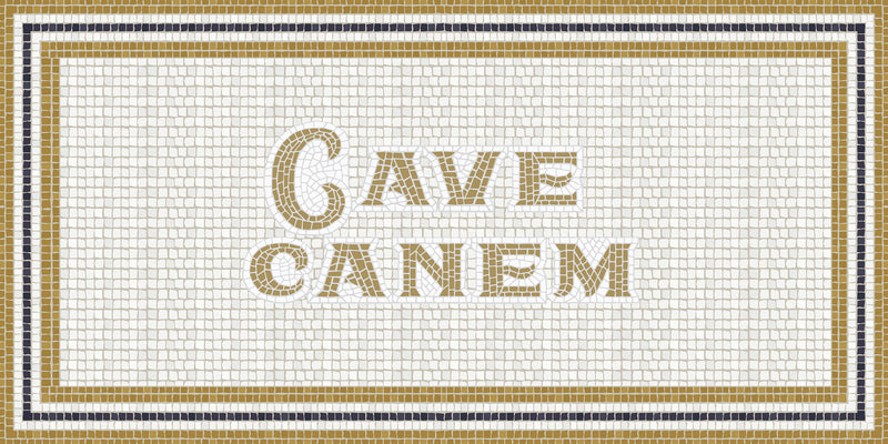 Mosaico romano "Cave Canem"