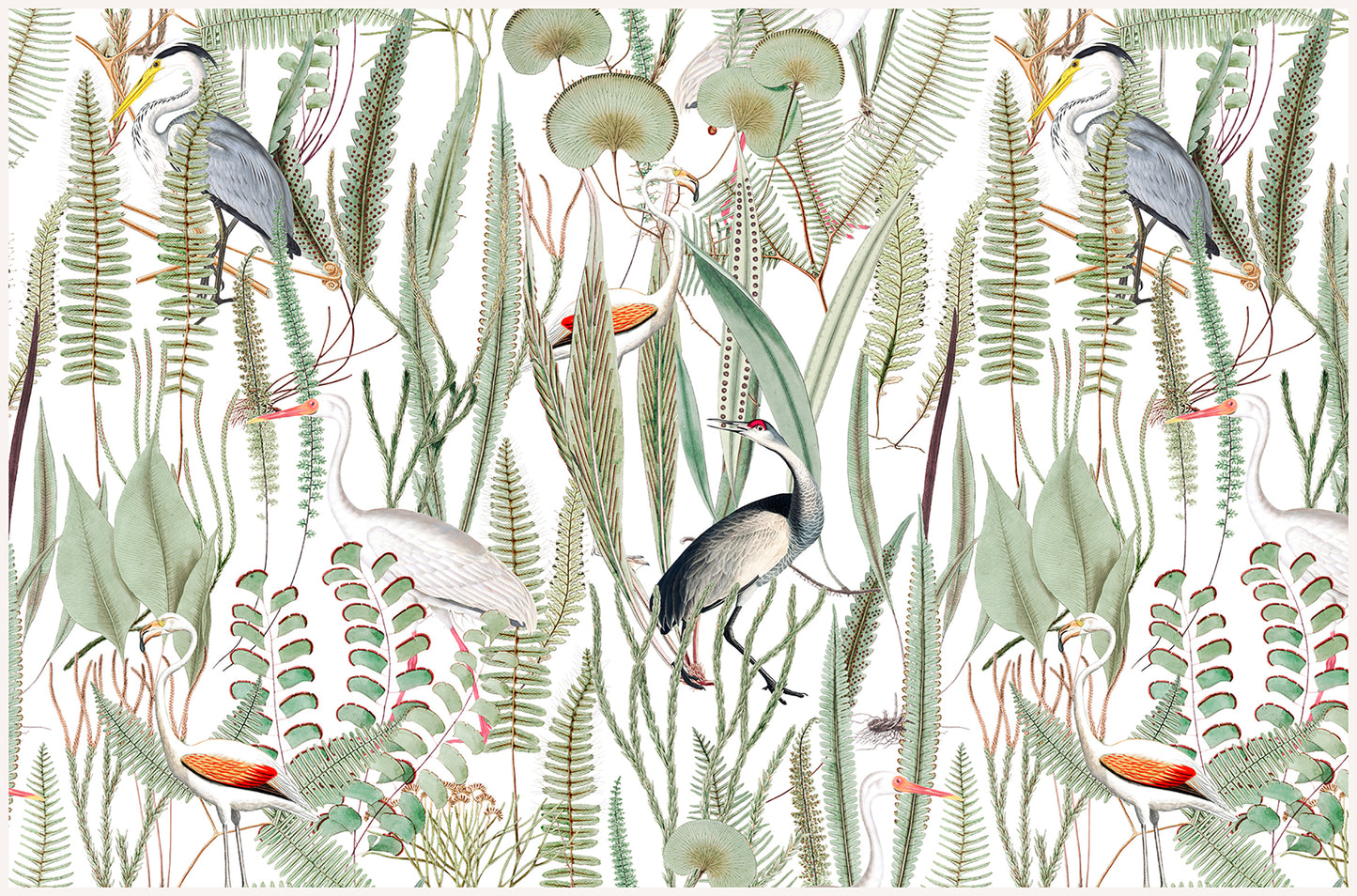 Aves en el paraíso