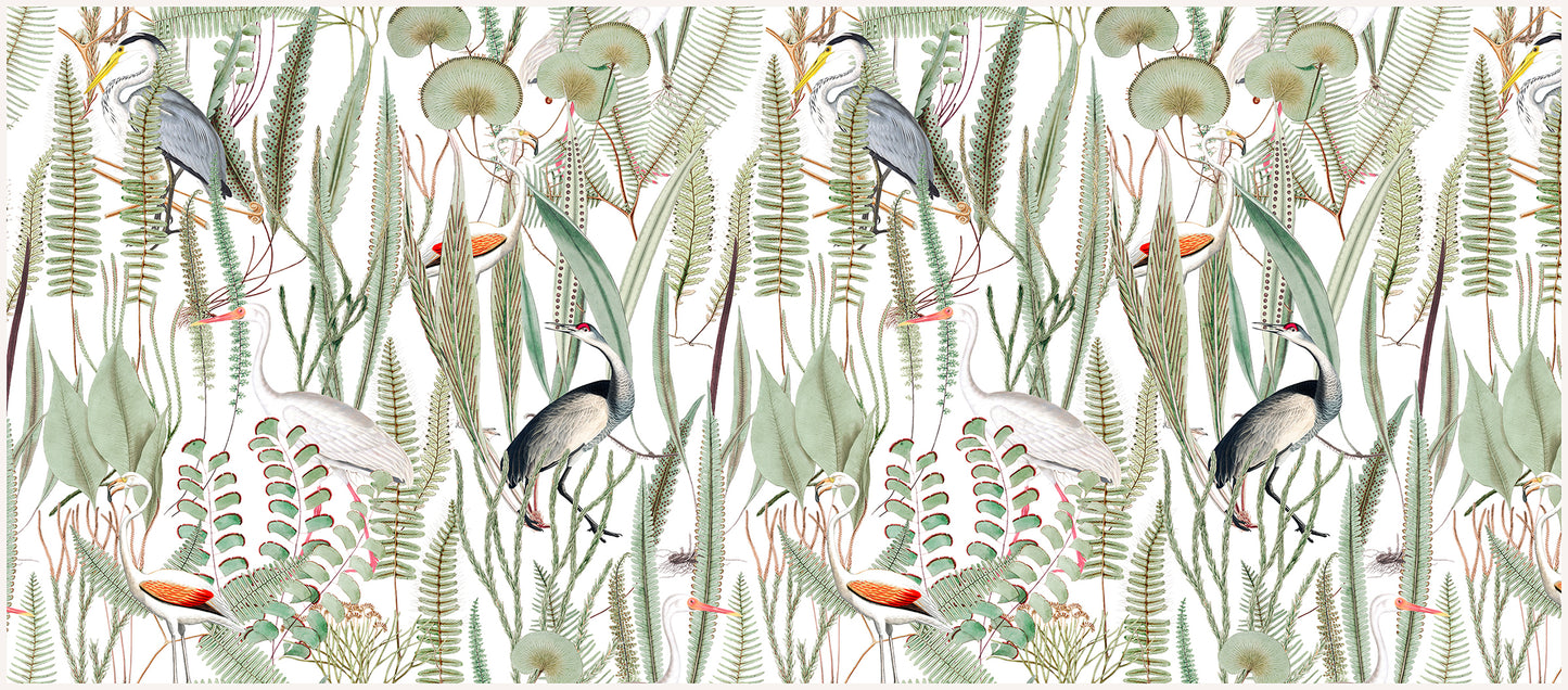 Aves en el paraíso
