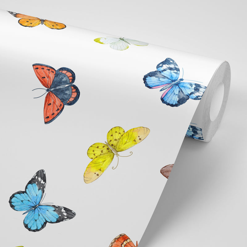 Butterflies with white background