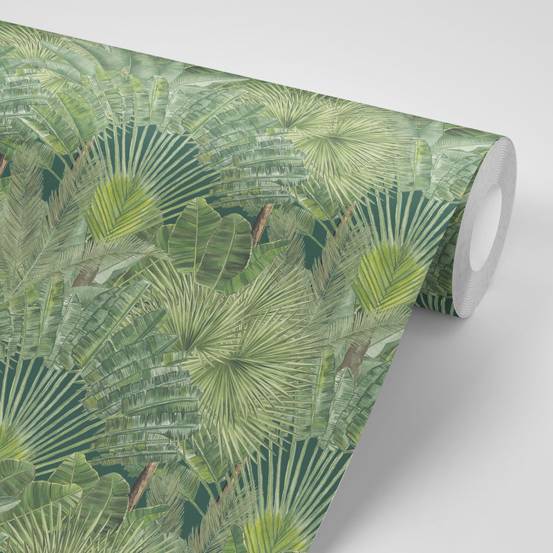 Feuilles tropicales fond vert