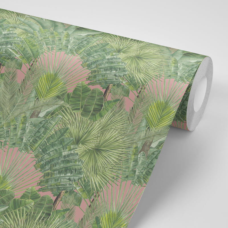 Feuilles tropicales fond rosâtre